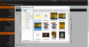 Wygodny manager plików